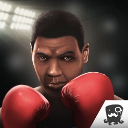King of Boxing